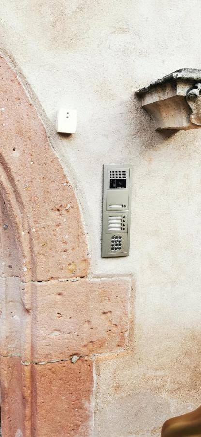 Le Rhenanus Jacques Taurellus - Appartement Duplex Au Calme - Centre Ville - Parking Gratuit 塞莱斯塔 外观 照片
