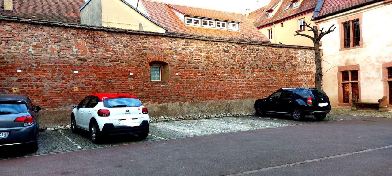 Le Rhenanus Jacques Taurellus - Appartement Duplex Au Calme - Centre Ville - Parking Gratuit 塞莱斯塔 外观 照片