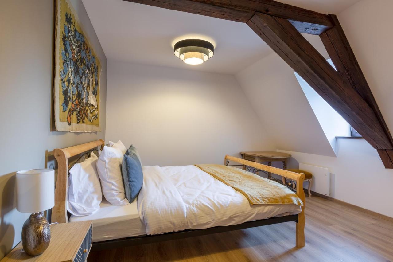 Le Rhenanus Jacques Taurellus - Appartement Duplex Au Calme - Centre Ville - Parking Gratuit 塞莱斯塔 外观 照片