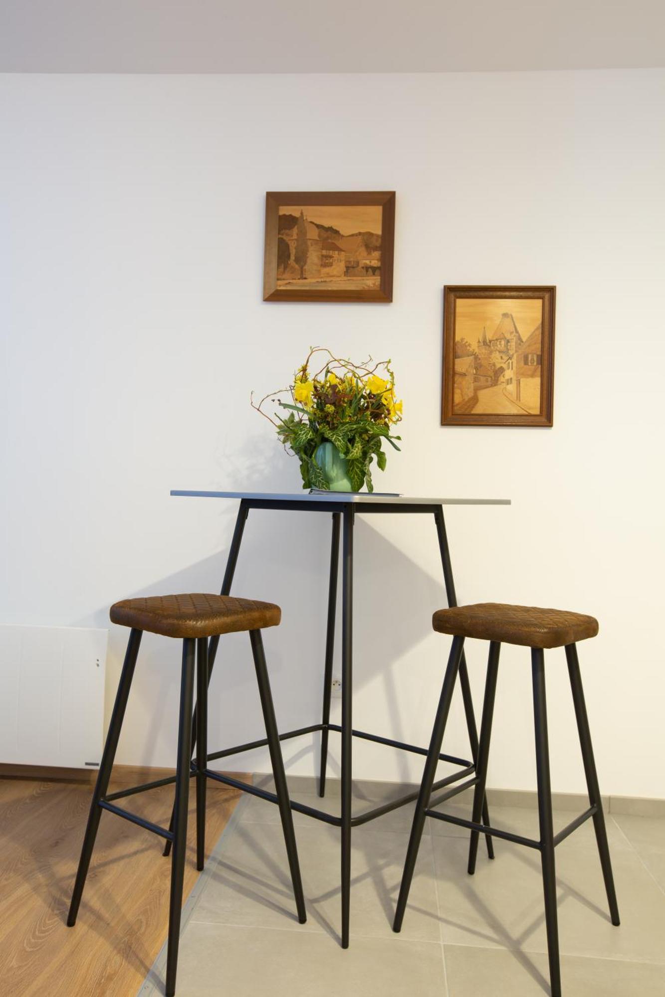 Le Rhenanus Jacques Taurellus - Appartement Duplex Au Calme - Centre Ville - Parking Gratuit 塞莱斯塔 外观 照片